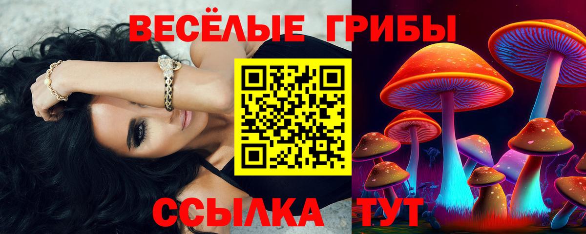 Псилоцибиновые грибы ЛСД Борисоглебск
