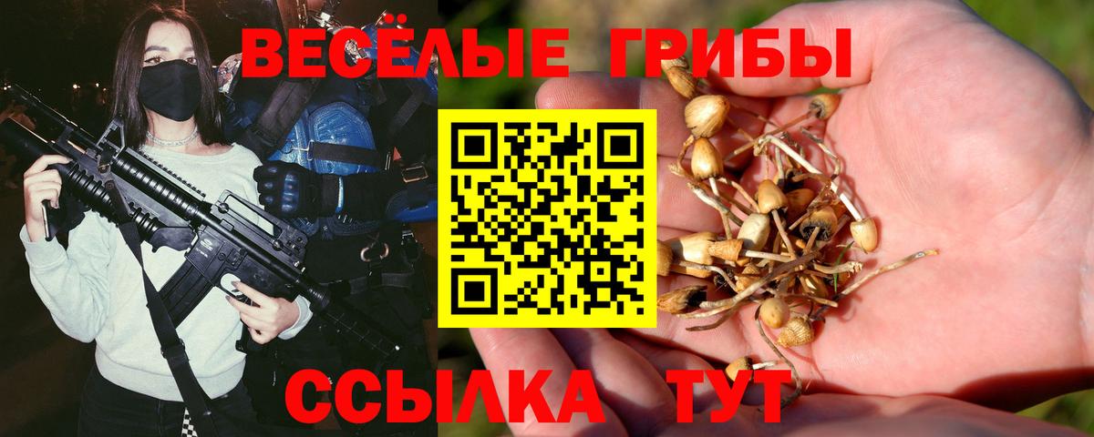 Борисоглебск  Псилоцибиновые грибы ЛСД  что такое наркотик  Вход с VPN 